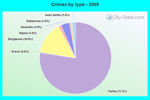 Crimes by type - 2009