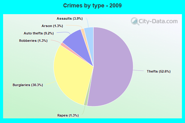 Crimes by type - 2009