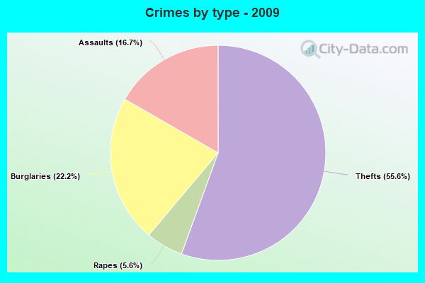 Crimes by type - 2009