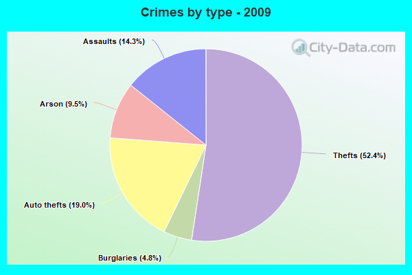 Crimes by type - 2009