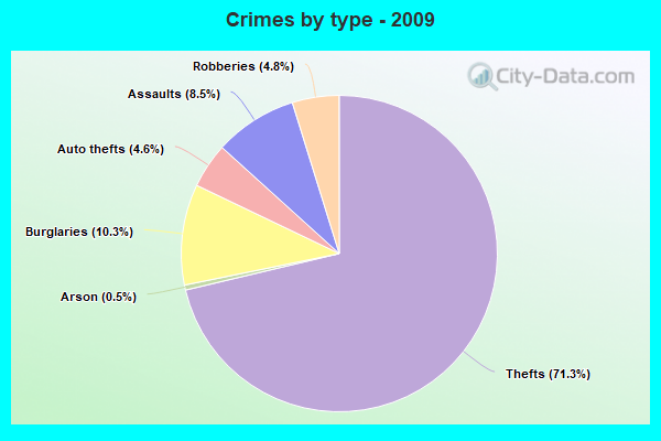 Crimes by type - 2009