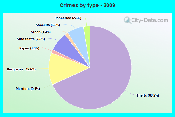 Crimes by type - 2009