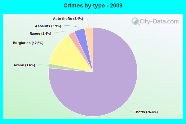 Crimes by type - 2009