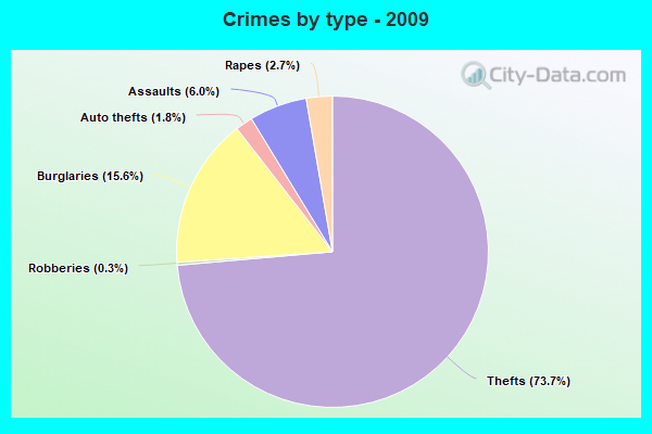 Crimes by type - 2009