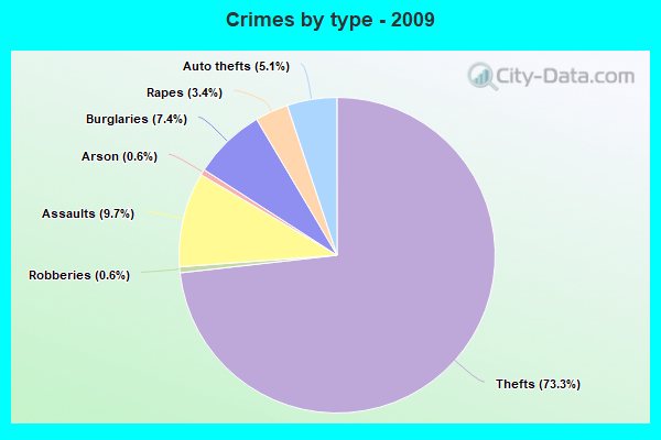 Crimes by type - 2009