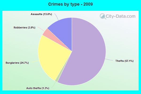 Crimes by type - 2009