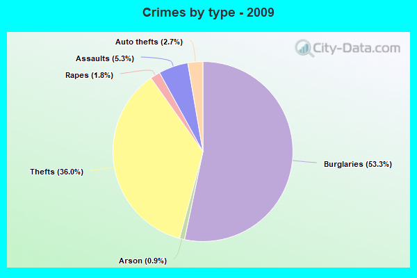 Crimes by type - 2009