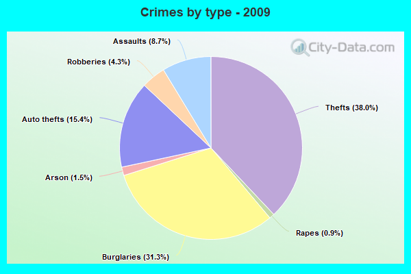 Crimes by type - 2009