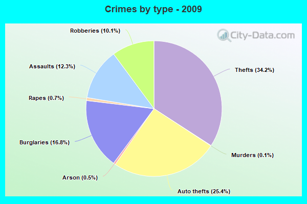 Crimes by type - 2009