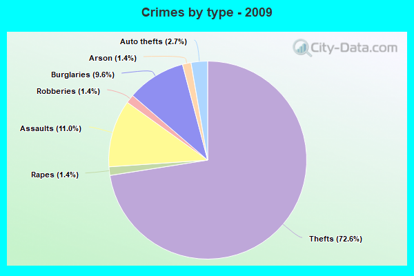 Crimes by type - 2009