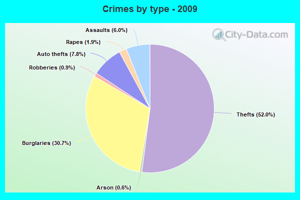 Crimes by type - 2009