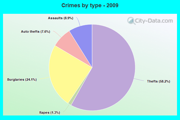 Crimes by type - 2009