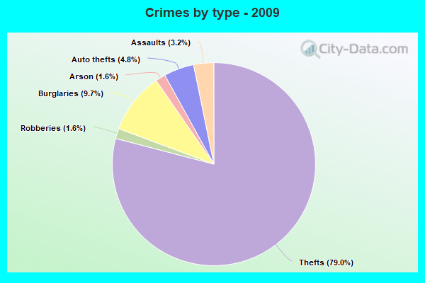 Crimes by type - 2009