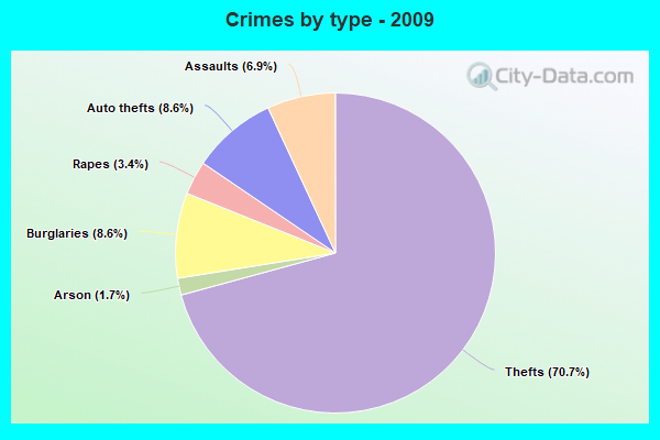 Crimes by type - 2009