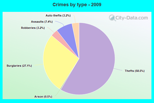 Crimes by type - 2009