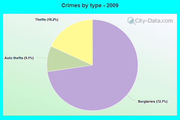 Crimes by type - 2009