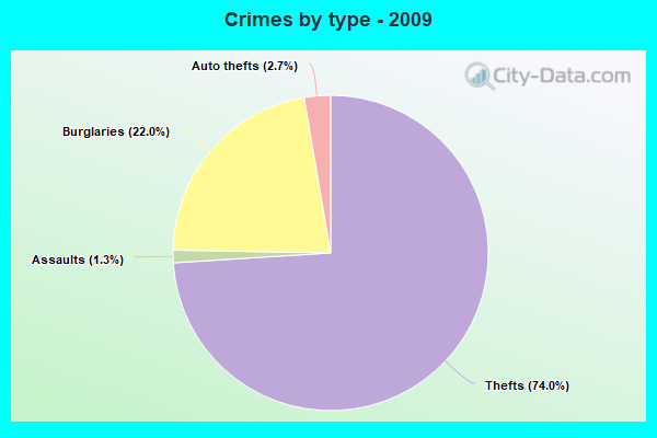 Crimes by type - 2009