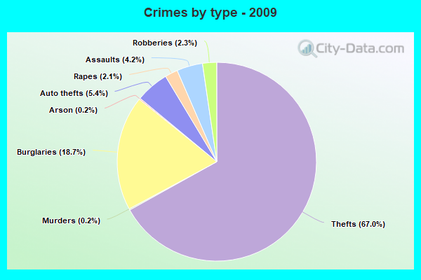 Crimes by type - 2009