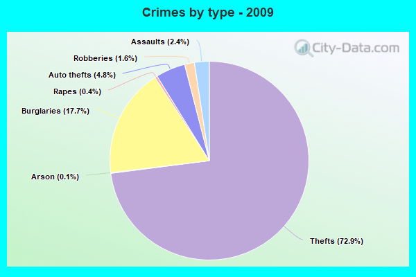 Crimes by type - 2009