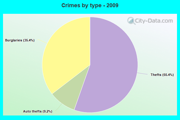 Crimes by type - 2009