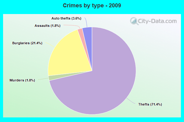 Crimes by type - 2009