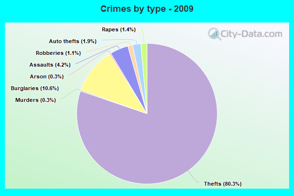 Crimes by type - 2009