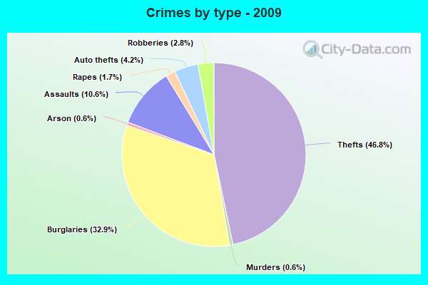 Crimes by type - 2009