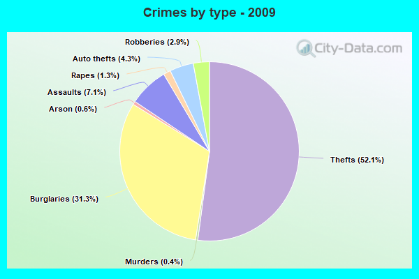 Crimes by type - 2009