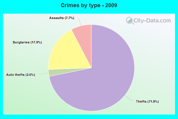 Crimes by type - 2009