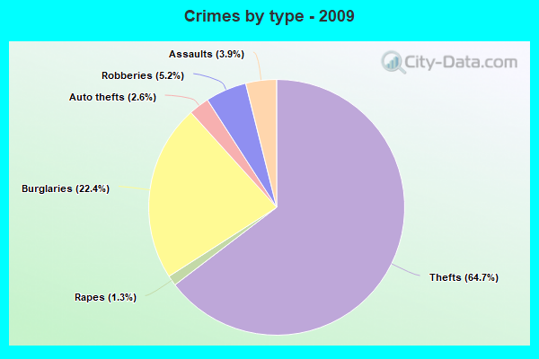 Crimes by type - 2009