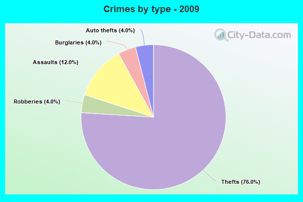 Crimes by type - 2009