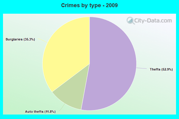 Crimes by type - 2009