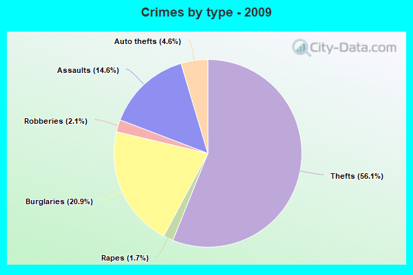 Crimes by type - 2009