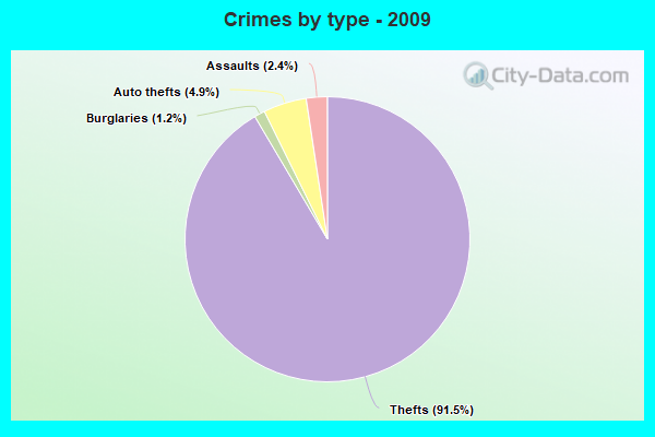 Crimes by type - 2009