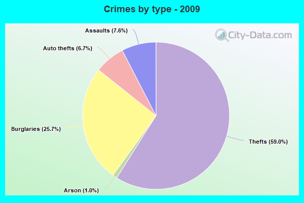 Crimes by type - 2009