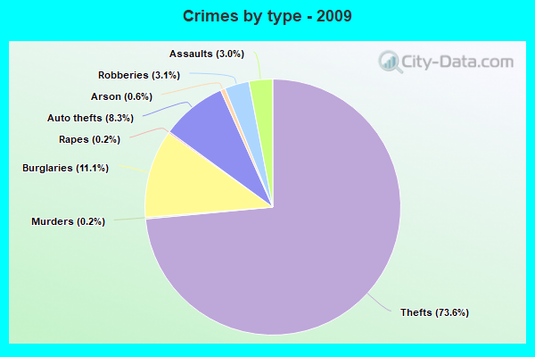 Crimes by type - 2009