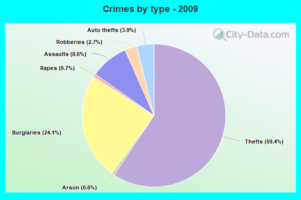 Crimes by type - 2009