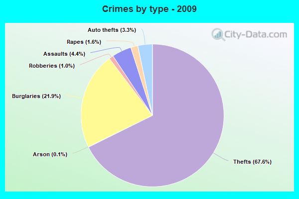 Crimes by type - 2009