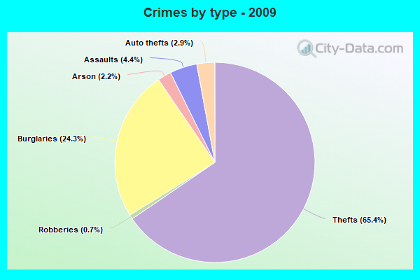 Crimes by type - 2009