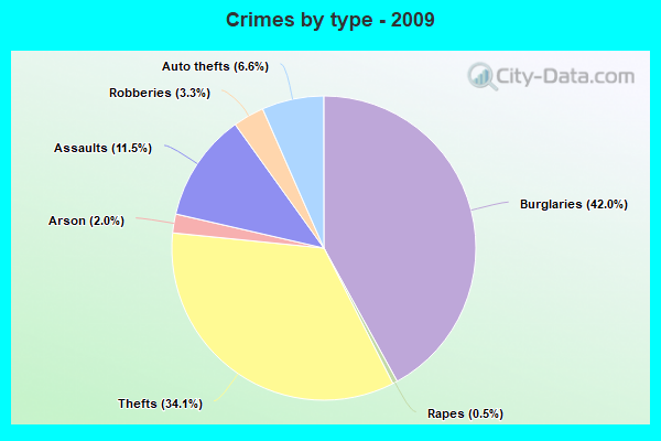 Crimes by type - 2009