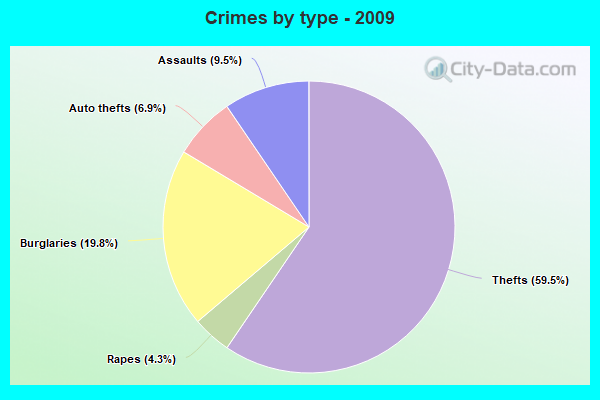 Crimes by type - 2009