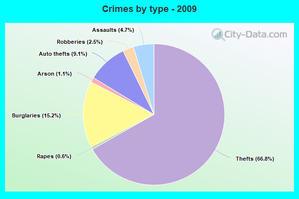 Crimes by type - 2009