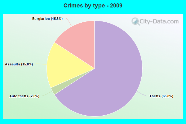 Crimes by type - 2009