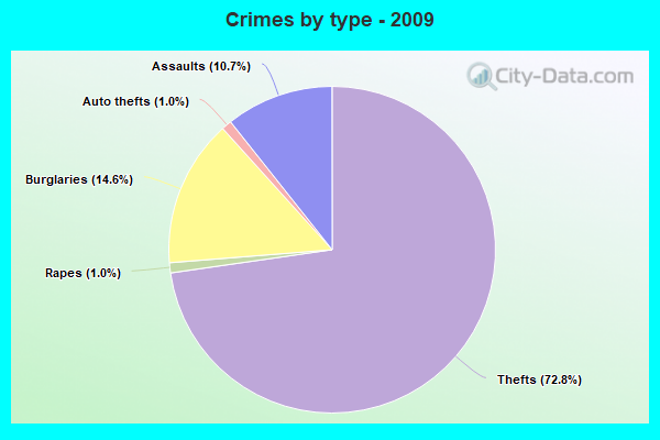 Crimes by type - 2009