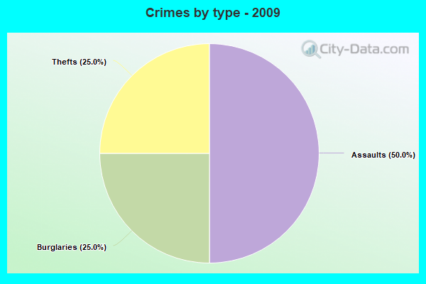 Crimes by type - 2009