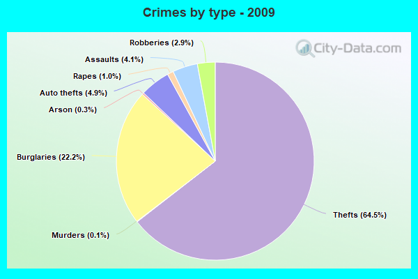 Crimes by type - 2009