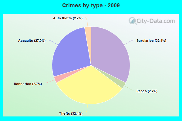 Crimes by type - 2009