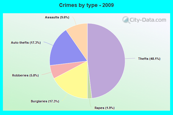 Crimes by type - 2009