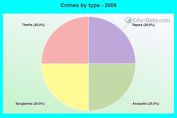 Crimes by type - 2009