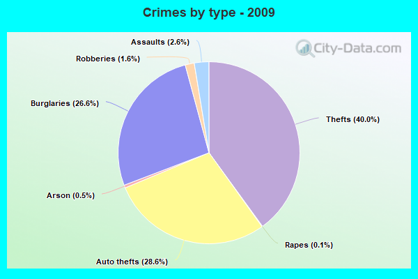 Crimes by type - 2009